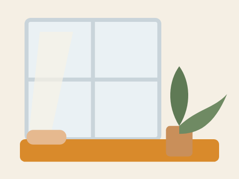 The window seat with plants and afternoon light